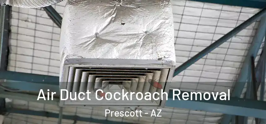  Air Duct Cockroach Removal Prescott - AZ
