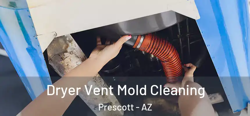 Dryer Vent Mold Cleaning Prescott - AZ