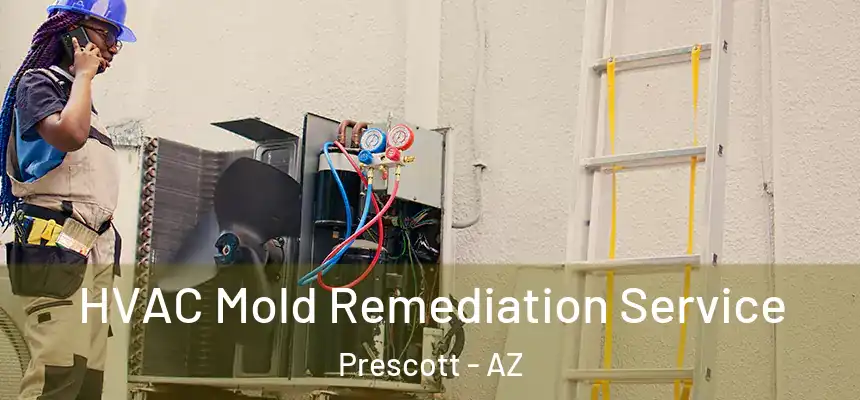 HVAC Mold Remediation Service Prescott - AZ