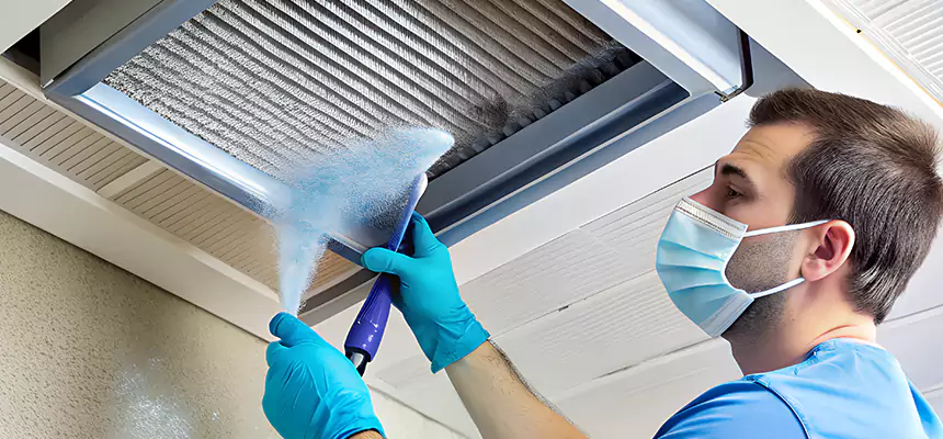 Proactive Dryer Vent & Auxiliary Duct Pollen Cleanup in Prescott, AZ