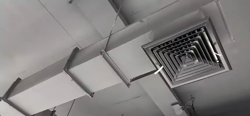 Our Rodent Droppings In Vents Services in Prescott, AZ