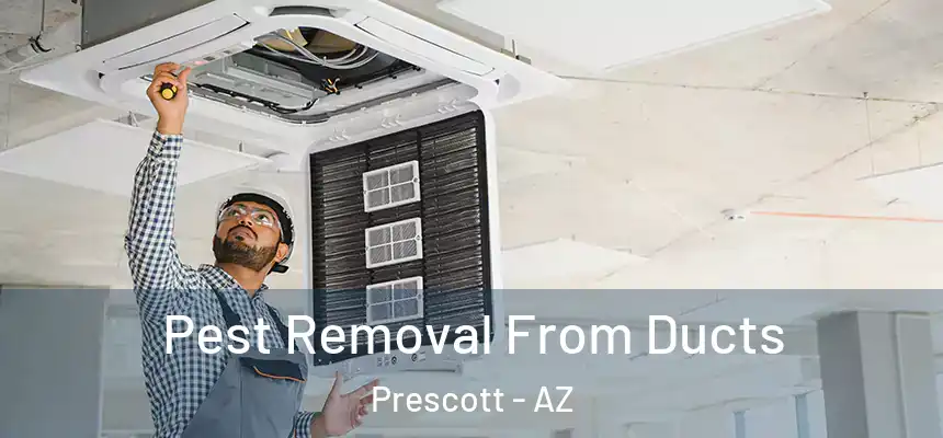 Pest Removal From Ducts Prescott - AZ