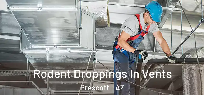  Rodent Droppings In Vents Prescott - AZ