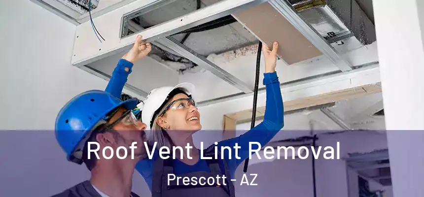 Roof Vent Lint Removal Prescott - AZ