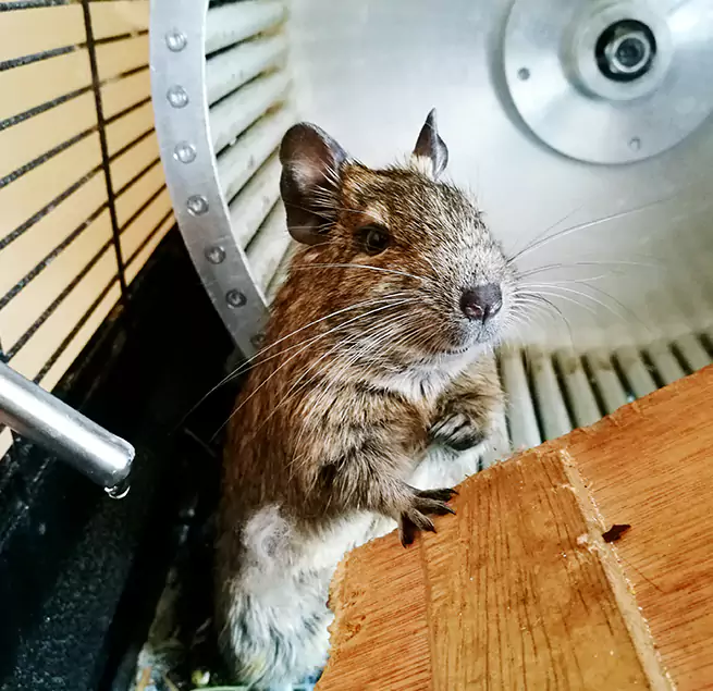 Why Homeowners & Businesses Trust Us Prescott, AZ